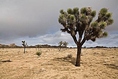 Bloober：《寂静岭2：重制版》PS5 Pro补丁仍在开发中